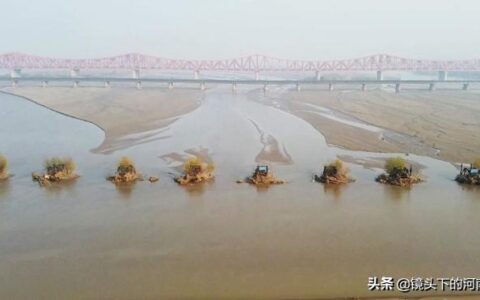 郑州黄河大桥(焦郑黄河大桥解封了吗)