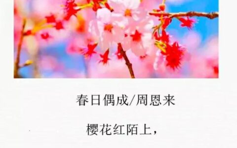 春日偶成(春日偶成小说全文免费阅读无弹窗)
