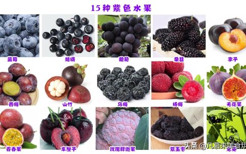 紫色的水果有哪些(树莓是紫色的吗)