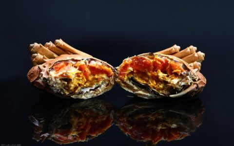 海螃蟹蒸多久最佳时间煮多长时间(海螃蟹蒸多久最佳时间梭子蟹)