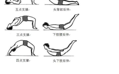 腰背肌锻炼方法视频(腰背肌锻炼方法)