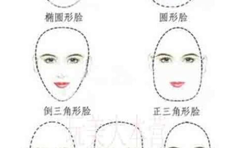 女生脸型分类图(女生脸型图)